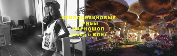 mdpv Арсеньев