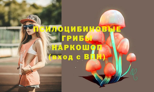 спиды Армянск
