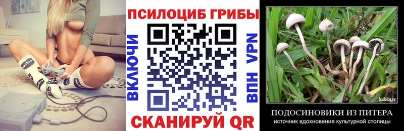 Галлюциногенные грибы Cubensis  Купить где  Билибино 